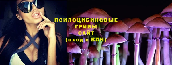 прущие грибы Магас
