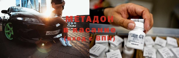 прущие грибы Магас