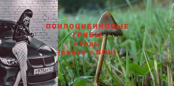 а пвп мука Майский