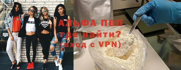 прущие грибы Магас