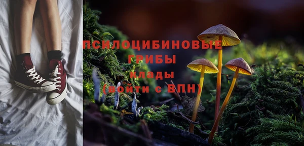 прущие грибы Магас