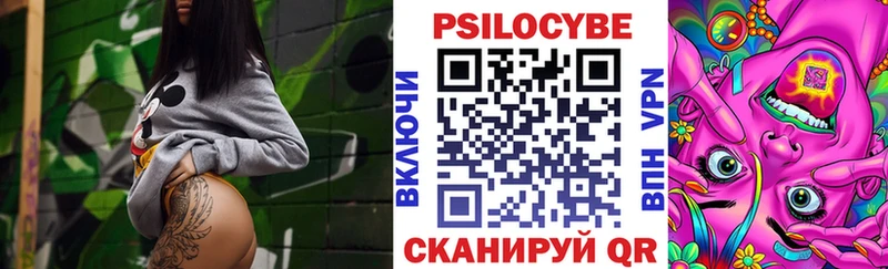 наркота  Зея  Галлюциногенные грибы Cubensis 